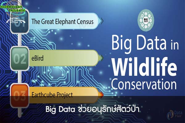 Big Data ช่วยอนุรักษ์สัตว์ป่า